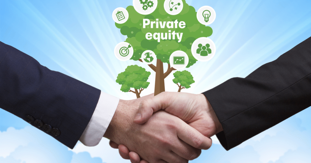 Private Equity Consulting for sustainable growth