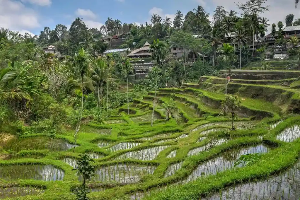 Best Places to Visit in Bali
