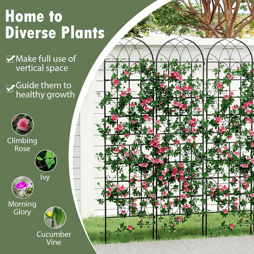 Wrought Iron Trellis for Climbing Plants Guide