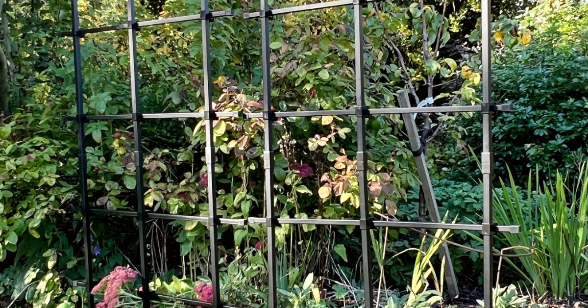 wrought iron trellis for climbing plants guide